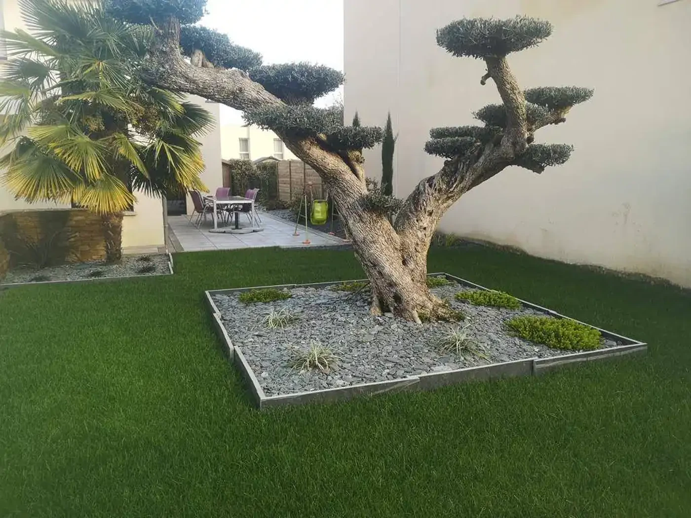 Arbre structuré implanté par SD Aménagement