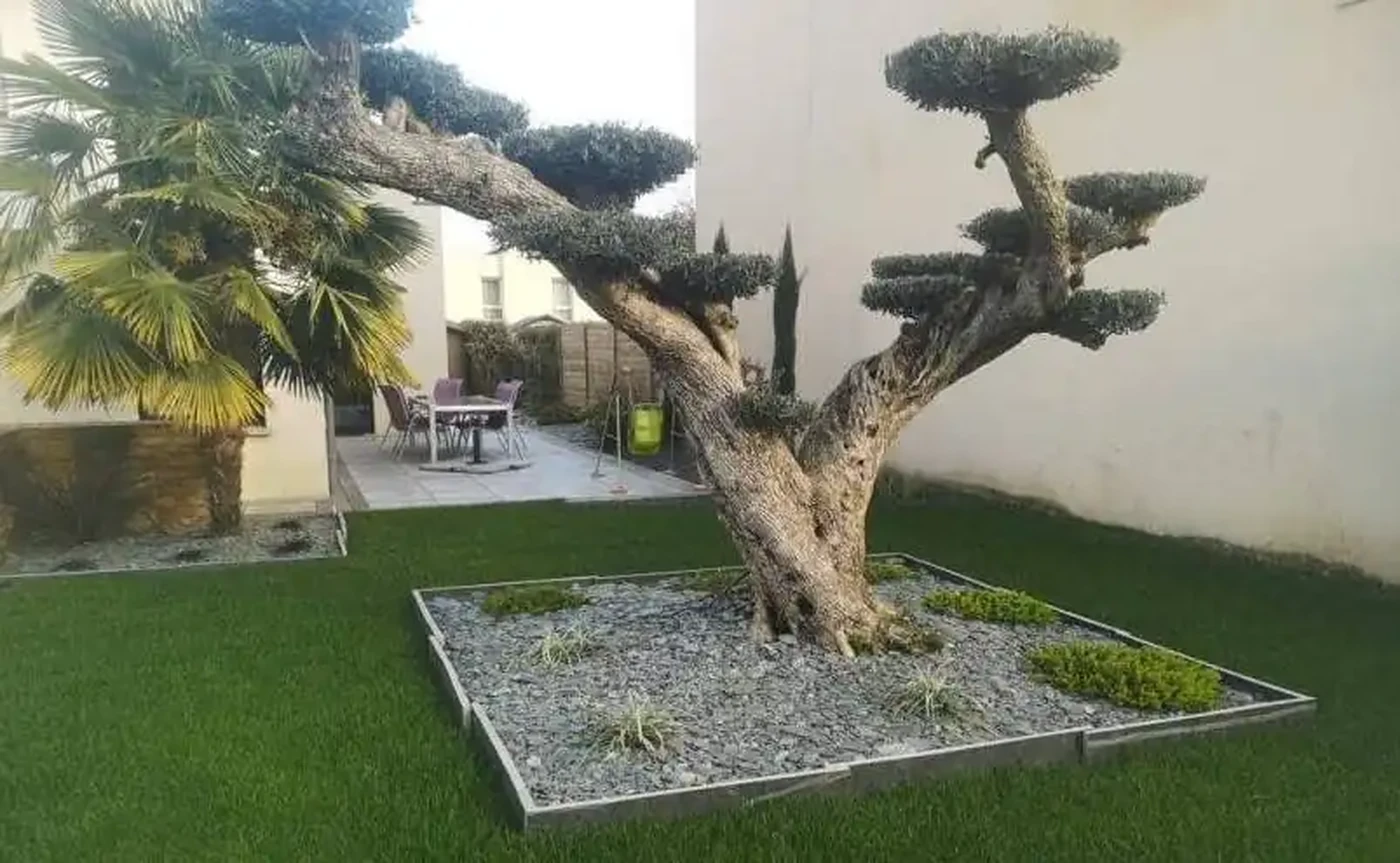 Création de jardin par votre paysagiste à Montgermont SD Aménagement